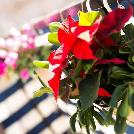 Apartman Relaxing Paulina With Balcony
