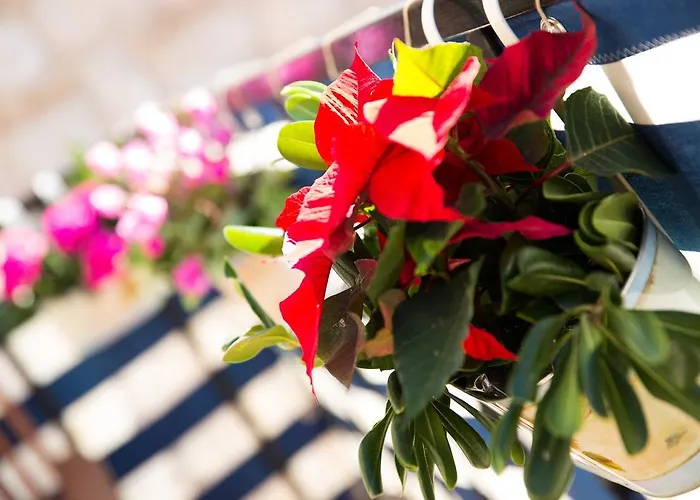 Διαμέρισμα Relaxing Paulina With Balcony