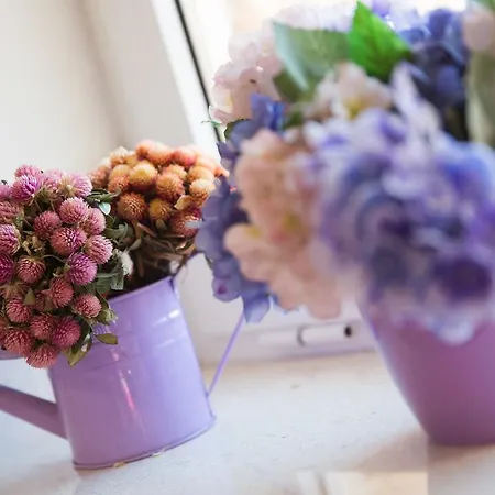 Apartmán Relaxing Paulina With Balcony *